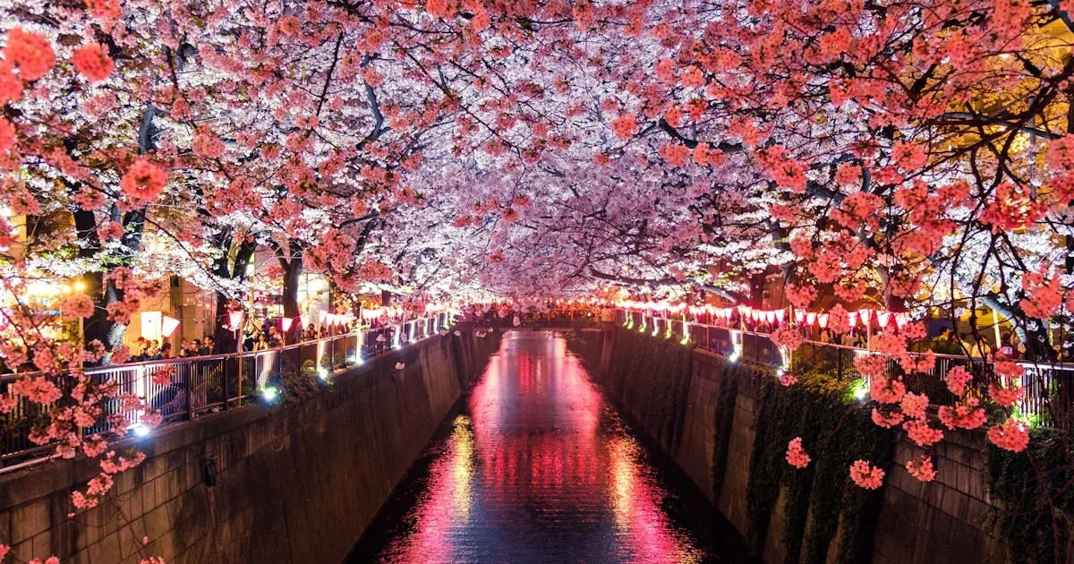 ホストクラブ地域比較｜歌舞伎町・大阪・名古屋・福岡・札幌・仙台・横浜